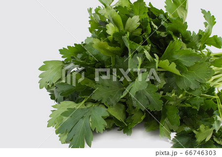 Bunch of parsley isolated on white. Bunch of parsley isolated on white. 66746303
