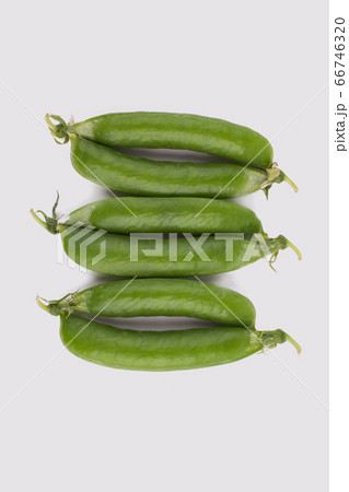 Pods of green peas. 66746320