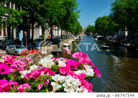 Amsterdam canal and flowers 66747544