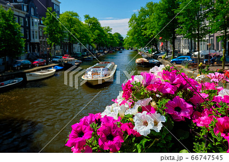 Amsterdam canal and flowers Amsterdam canal and flowers 66747545