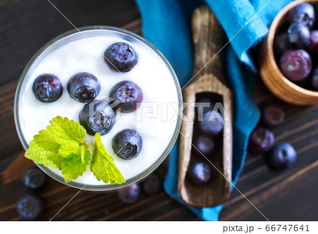 yogurt yogurt 66747641