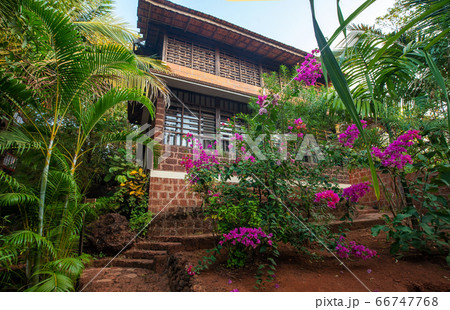 garden on territory of small hotel typical at 66747768