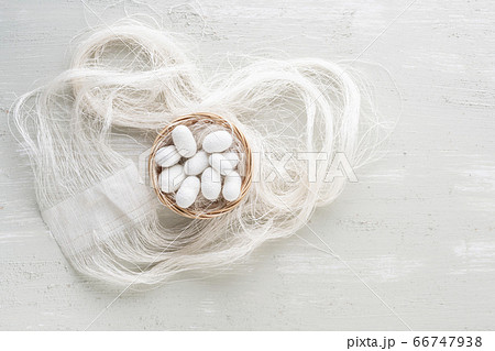 natural silkworm cocoons are source of silk thread 66747938