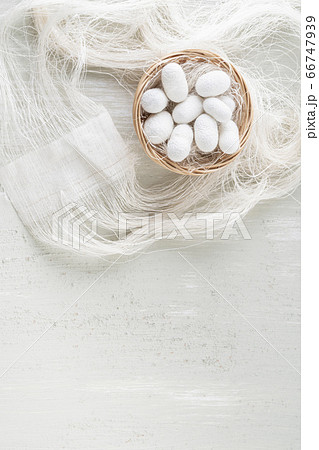 natural silkworm cocoons are source of silk natural silkworm cocoons are source of silk 66747939