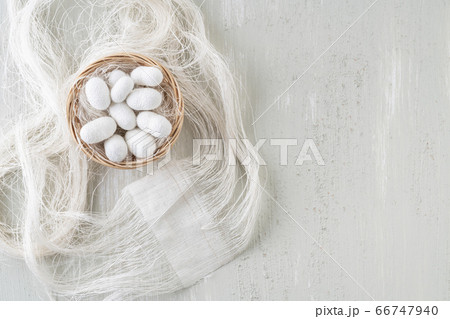 natural silkworm cocoons are source of silk natural silkworm cocoons are source of silk 66747940