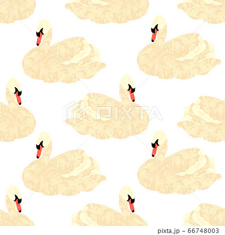 Seamless pattern with swans on a white background 66748003