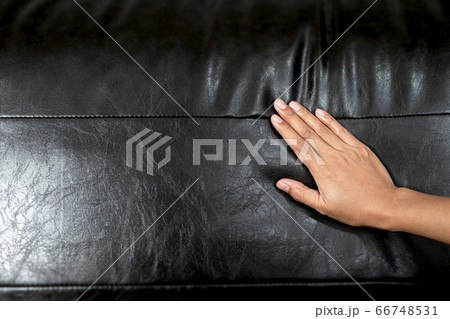 The woman's hand touching the surface of the sofa. 66748531