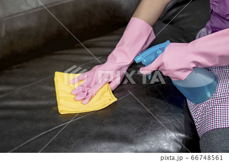Woman wipe sofa with germicidal spray and wipe with towel. 66748561