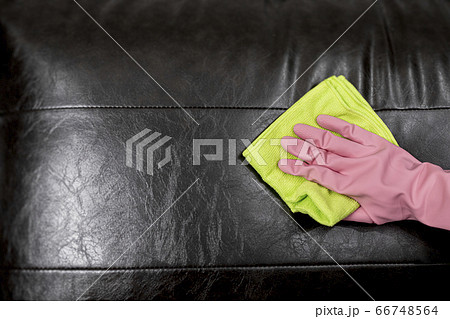 Woman wipe sofa with germicidal spray and wipe with towel. 66748564