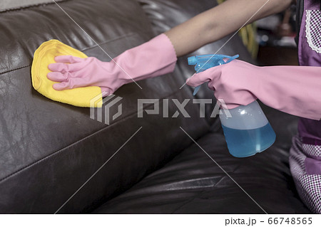 Woman wipe sofa with germicidal spray and wipe with towel. 66748565