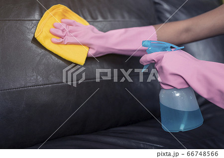 Woman wipe sofa with germicidal spray and wipe with towel. 66748566