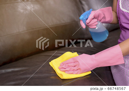 Woman wipe sofa with germicidal spray and wipe with towel. 66748567