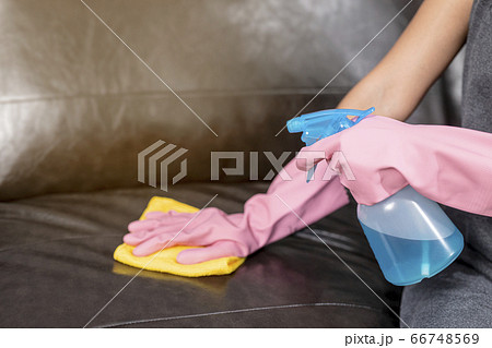 Woman wipe sofa with germicidal spray and wipe with towel. 66748569