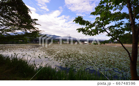 池の上を通過する新幹線 66748596