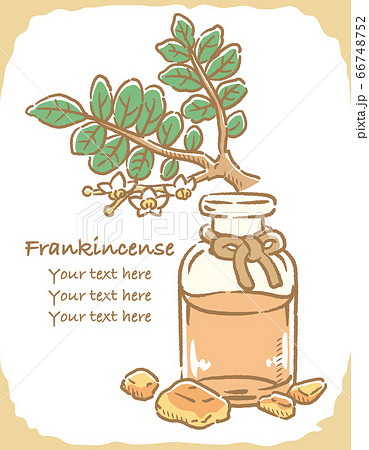 フランキンセンスとエッセンシャルオイルの瓶のイラスト素材 フランキンセンスとエッセンシャルオイルの瓶のイラスト素材 66748752