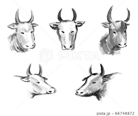 牛の水墨画セット 66748872