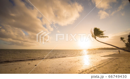 Lonely palm hanging on the beach during sunrise on Boracay. White beach at Boracay island, Philiphines. Lonely palm hanging on the beach during sunrise on Boracay. White beach at Boracay island, Philiphines. 66749430
