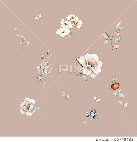 透明水彩 水彩画 花 66749432