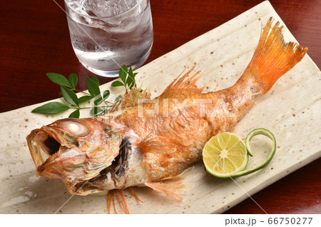 焼き魚　居酒屋 66750277