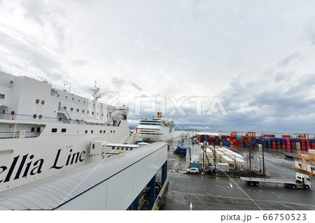 博多港国際ターミナルの景色（曇り） 66750523