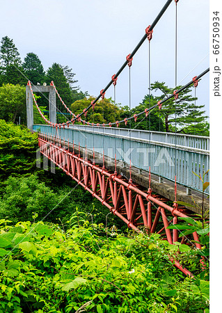 新緑の油山市民の森　つり橋　【福岡県福岡市南区】 66750934