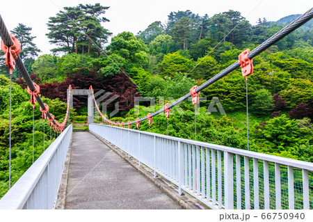 新緑の油山市民の森 つり橋 【福岡県福岡市南区】 新緑の油山市民の森 つり橋 【福岡県福岡市南区】 66750940