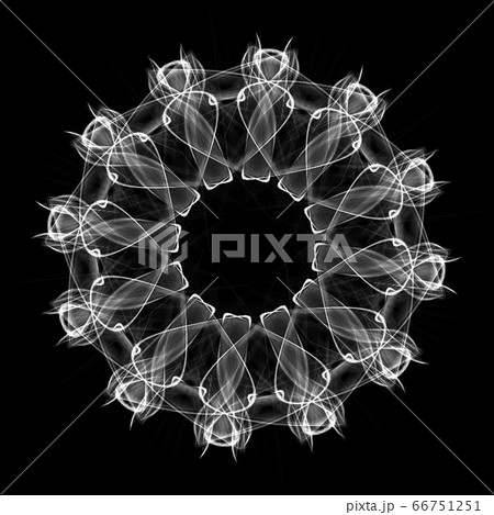 美しい十二角形 20200623_005m モノクロ 美しい十二角形 20200623_005m モノクロ 66751251