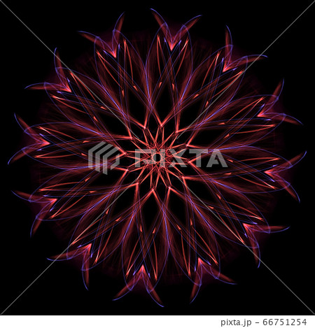 美しい十二角形 20200623_007 美しい十二角形 20200623_007 66751254