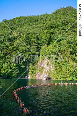 新緑のころ　赤谷湖　みなかみ町　 66752039