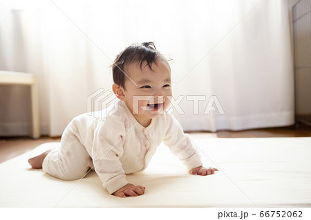 ハイハイする赤ちゃん ハイハイする赤ちゃん 66752062