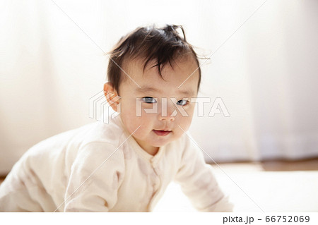 ハイハイする赤ちゃん ハイハイする赤ちゃん 66752069