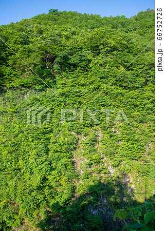 新緑のころ　赤谷湖  相俣ダム下の景色　みなかみ町　 66752726