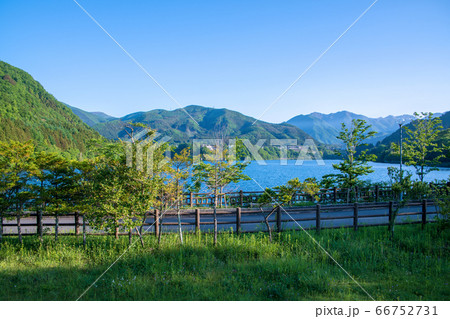 新緑のころ　赤谷湖　みなかみ町　 66752731