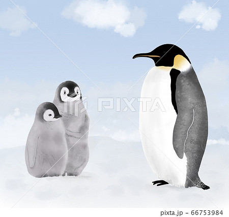 コウテイペンギンの親子のイラストのイラスト素材