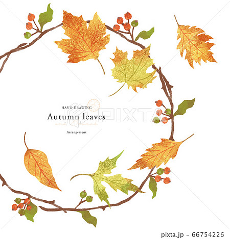 紅葉の手描きイラスト/リースアレンジメント 紅葉の手描きイラスト/リースアレンジメント 66754226