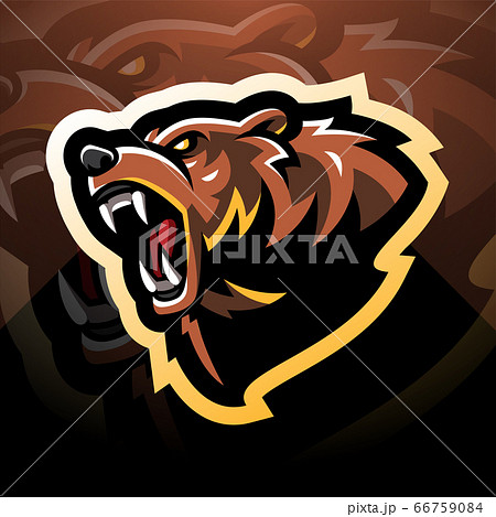 Bear head mascot logo  66759084