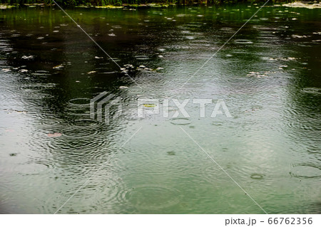 日本の建物が映る雨の日の池 日本の建物が映る雨の日の池 66762356