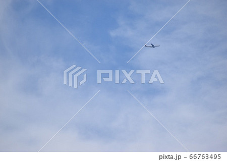 青空に飛行機 青空に飛行機 66763495