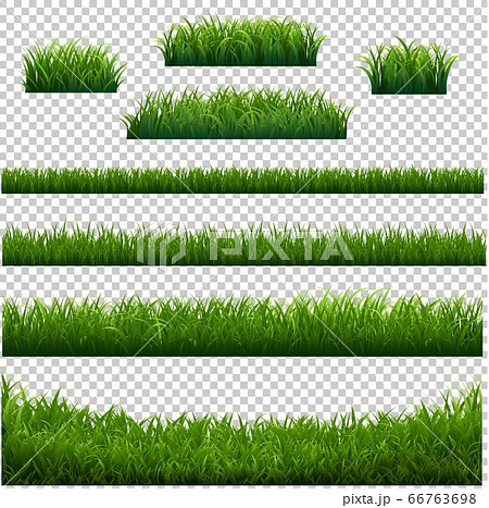 Green Grass Frame With Transparent Background Green Grass Frame With Transparent Background 66763698
