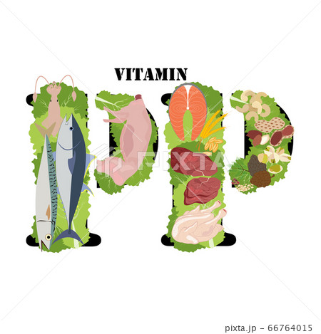 Vitamin PP healthy nutrient rich food vector illustration Vitamin PP healthy nutrient rich food vector illustration 66764015