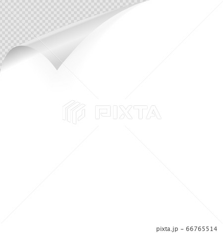 Realistic curled paper on transparent background Realistic curled paper on transparent background 66765514