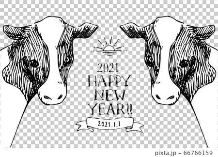 時尚手繪新年賀卡 66766159