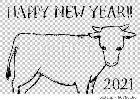 時尚手繪新年賀卡 時尚手繪新年賀卡 66766160
