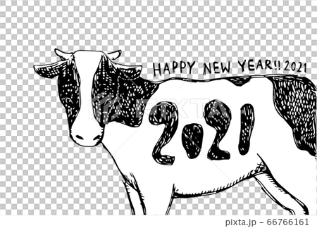 時尚手繪新年賀卡 66766161