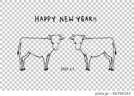Fashionable hand drawn new year card Fashionable hand drawn new year card 66766163