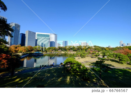 浜離宮と汐留ビル群 66766567