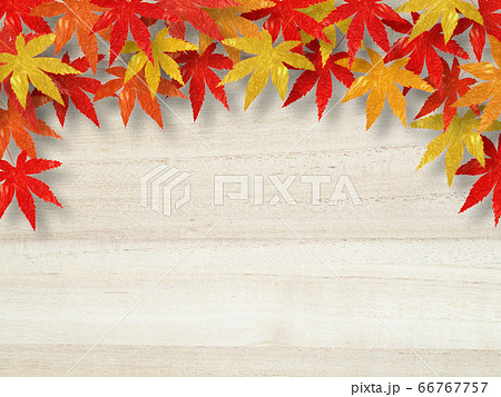 紅葉 背景 素材のイラスト素材