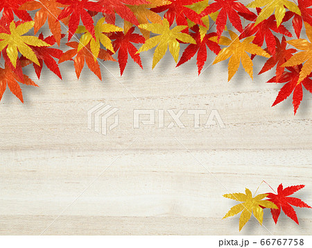 紅葉 背景 素材のイラスト素材