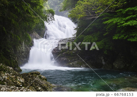 雫の滝（和歌山県西牟婁郡すさみ町） 66768153