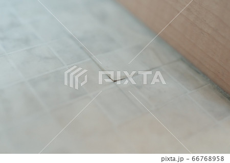 クッションフロアの剥がれの写真素材